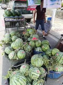 和县网红吃瓜事件,揭秘网络舆论的风云变幻